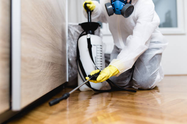 Professional Pest Control in Destin, FL