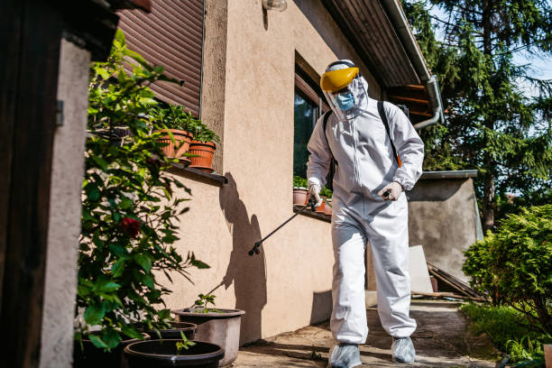 Bird Control in Destin, FL