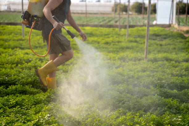 Best Pest Removal Services  in Destin, FL
