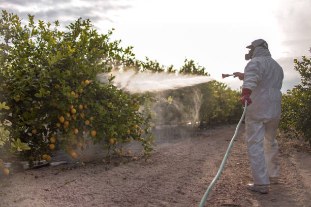 Best Mosquito Control Services  in Destin, FL