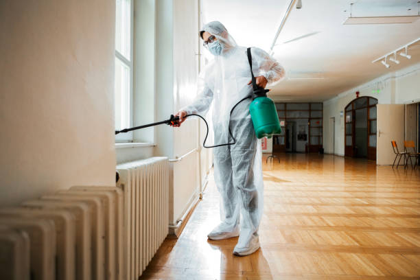 Pest Prevention Services in Destin, FL