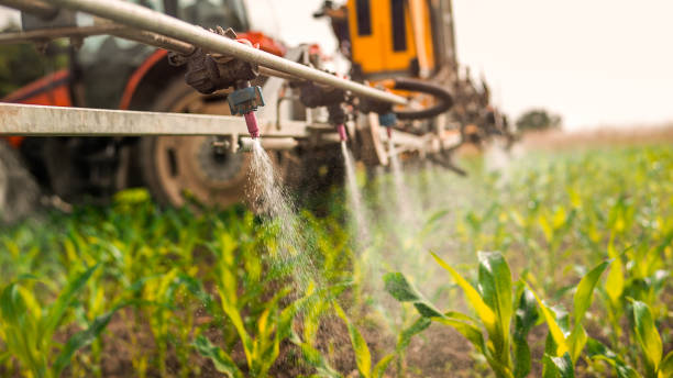 Best Mosquito Control Services  in Destin, FL